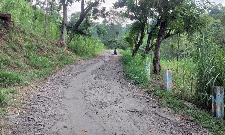 Kerusakan Jalan di Nguling dan Lumbang Jadi Sorotan, DPRD Minta Percepatan Pembangunan