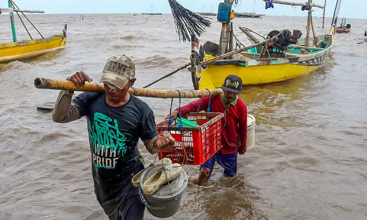 Produksi Ikan Tangkap di Pasuruan Naik Drastis, Tapi Harga Jual Malah Turun