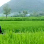 042447500 1533392690 38448958 964129490442567 55124221616979968 n