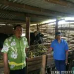 IMG 20230525 WA0040