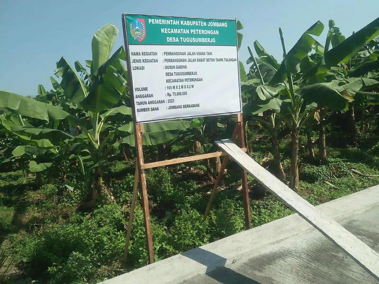 Kades Tugusumberjo, Jombang Tancap Gas Pembangunan Di Sektor Pertanian
