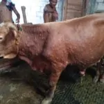 WhatsApp Image 2023 01 25 at 12.33.08