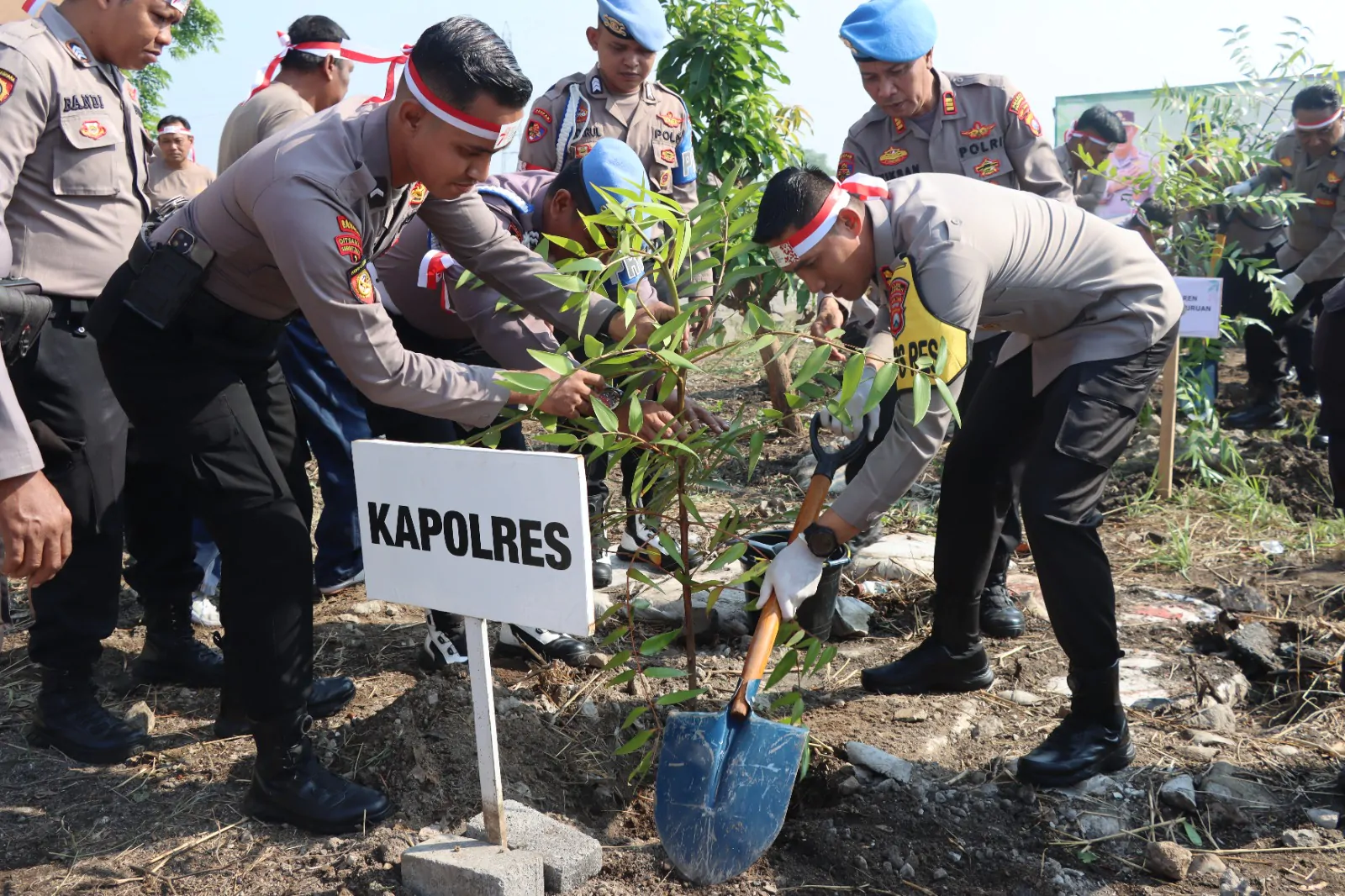 Hijaukan Bumi, Kapolres Pasuruan Tanam Ratusan Bibit Pohon Penghijauan