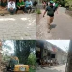 Ce9c4d324e447f56cd3a4816df2316a583ce40e5118b4b34f976afc2f8208e8b.0