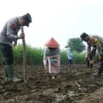 IMG 20241102 WA0007
