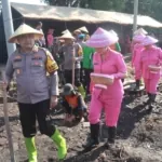 IMG 20241109 WA0041