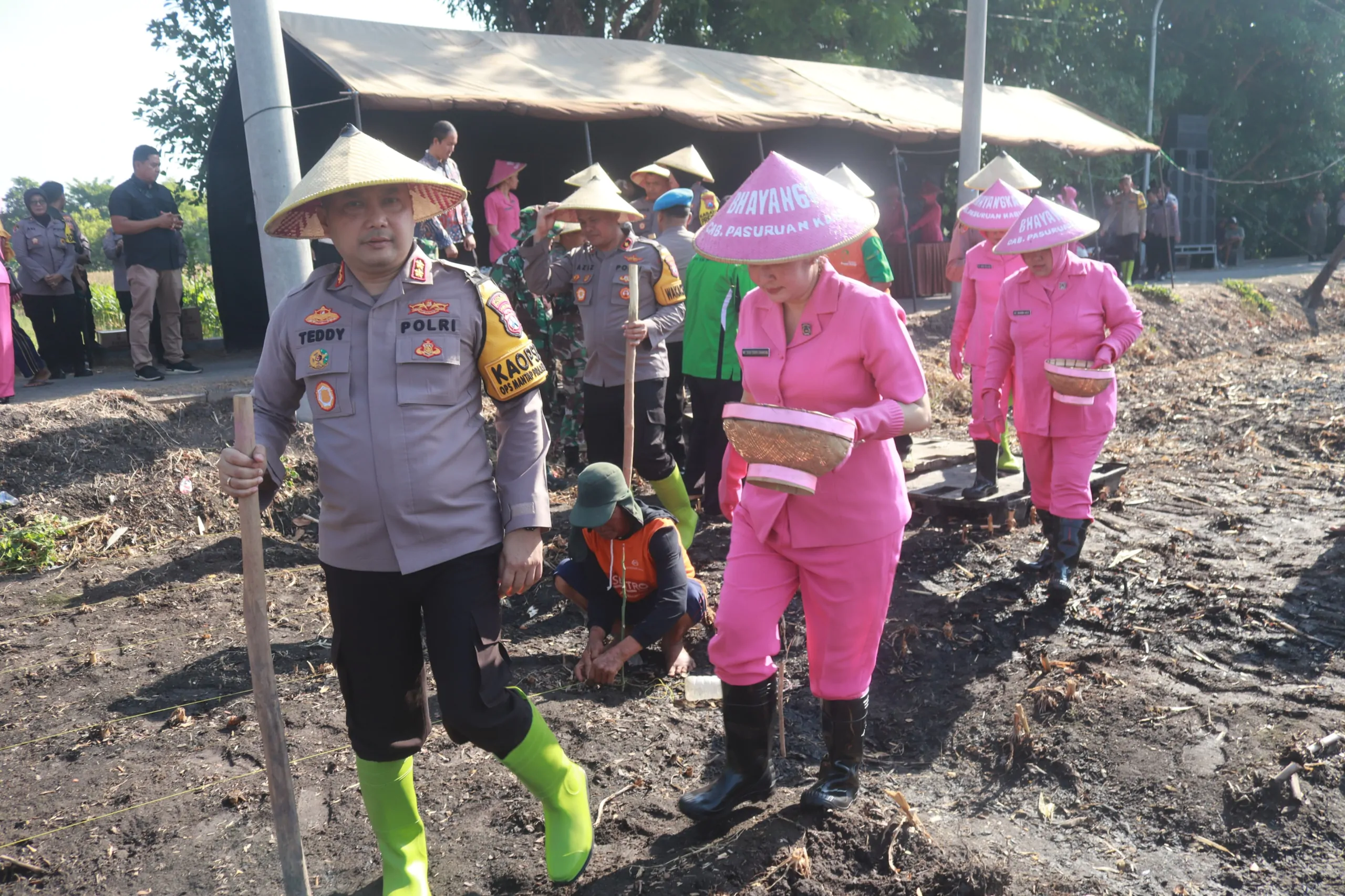 Dukung Ketahanan Pangan, Polres Pasuruan Tanam Jagung di Rembang dan Wonorejo