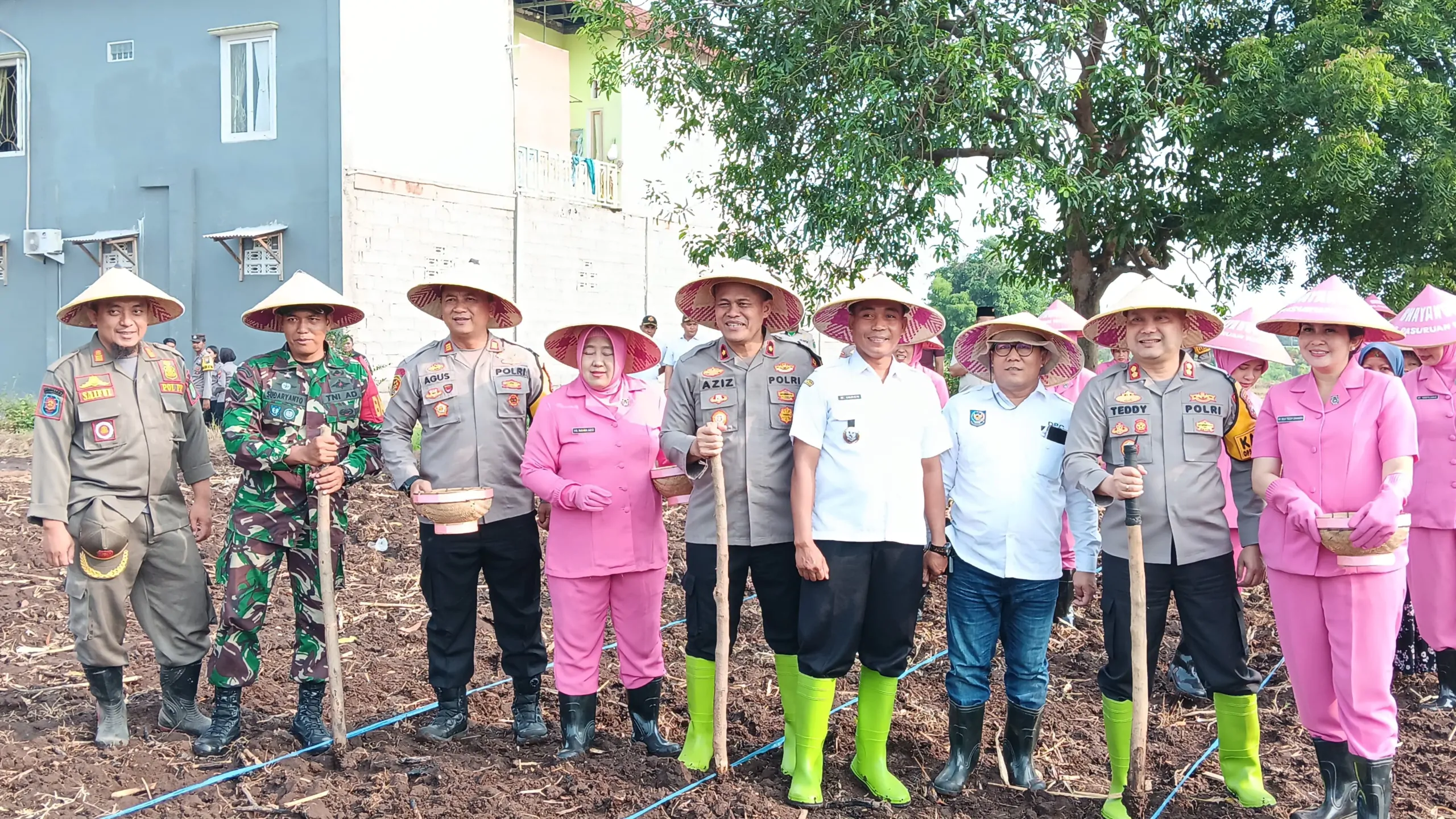Program Ketahanan Pangan, Kapolres Pasuruan Tanam Bibit Jagung Bersama Gapoktan