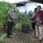 Img 20250505 Wa0027