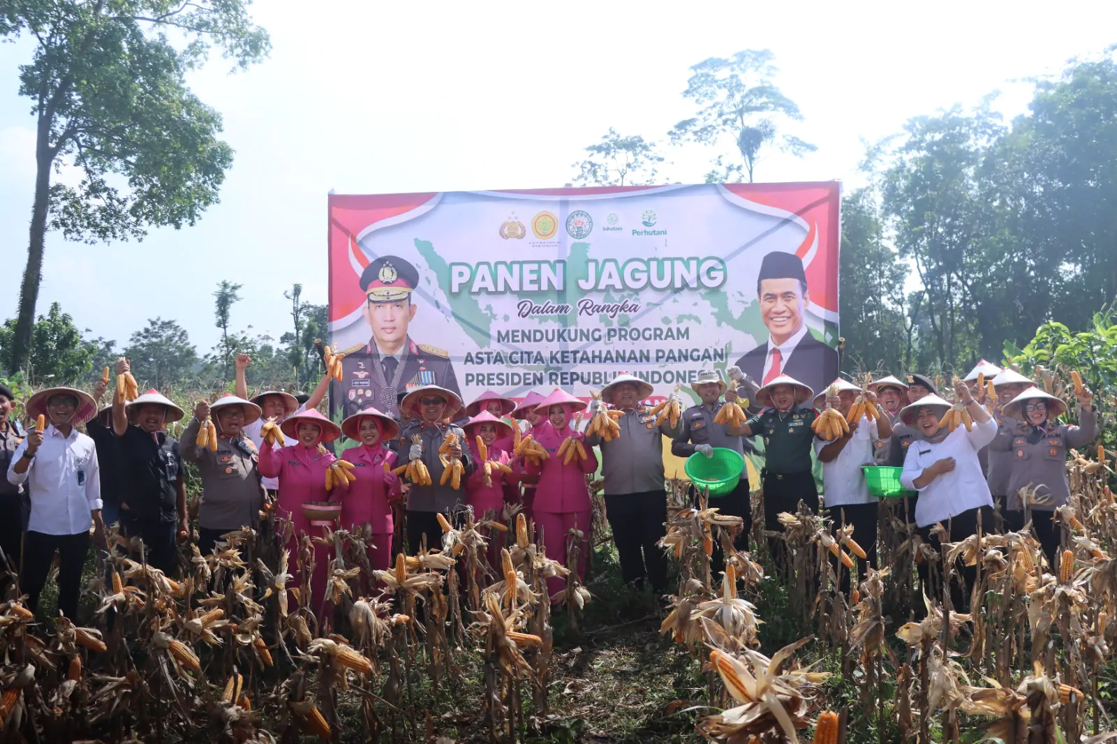 Program Ketahanan Pangan Berjalan Baik, Polres Pasuruan Panen Jagung di Purwodadi