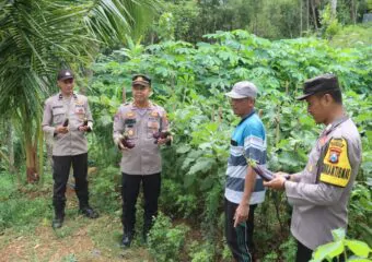 Img 20250516 Wa0042