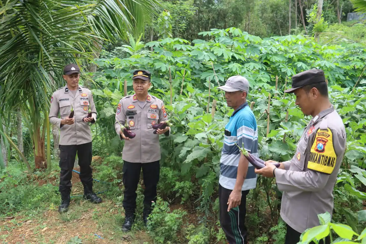 Polres Pacitan Gelorakan Swasembada Pangan Melalui Program P2B