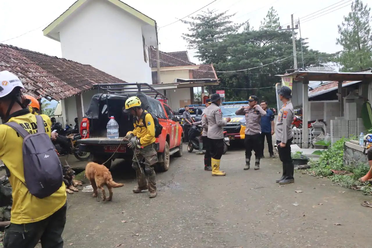 Libatkan Anjing Pelacak Polisi Kembali Cari Korban Longsor di Trenggalek