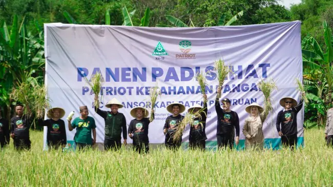 Bupati Rusdi Sutejo mengapresiasi padi sehat organik rendah gula yang dikembangkan PC GP Ansor Pasuruan