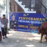 Img 20250605 Wa0075