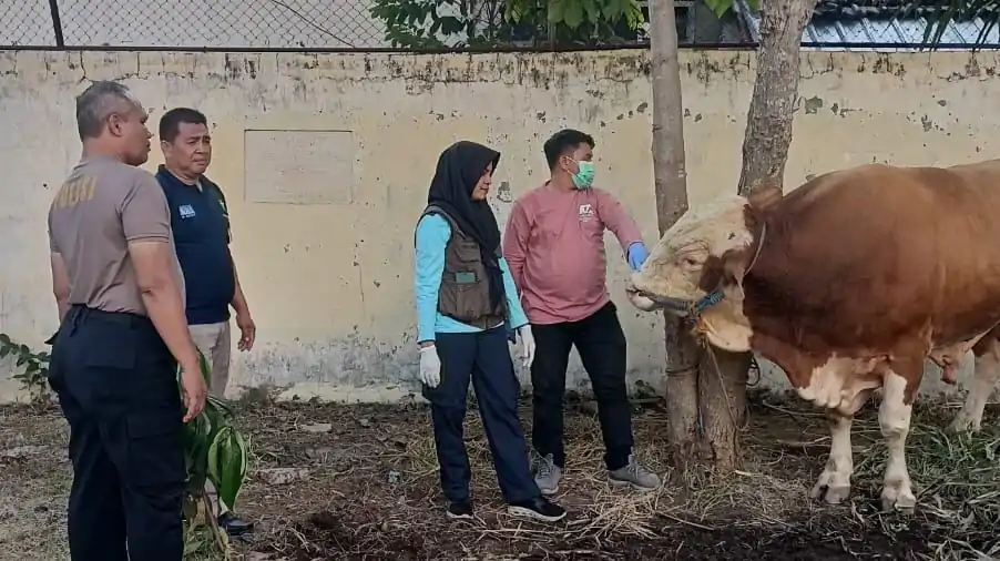 Polres Madiun Kota Datangkan Dokter Hewan Pastikan Kesehatan Hewan Kurban