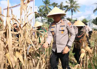 Img 20250609 Wa0016