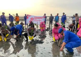 Img 20250628 Wa0011