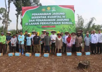 Img 20250710 Wa0009
