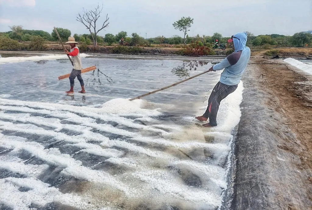 Produksi Garam di Kabupaten Pasuruan Mulai Jalan, Bupati Harap Cuaca Bersahabat