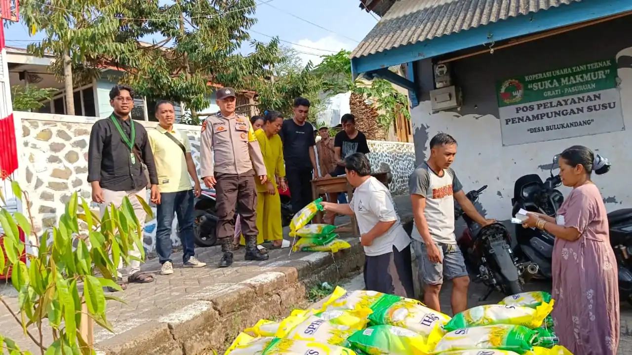 Bersama HMI dan Karang Taruna, Polres Pasuruan Salurkan 3 Ton Beras Murah di Desa Bulukandang