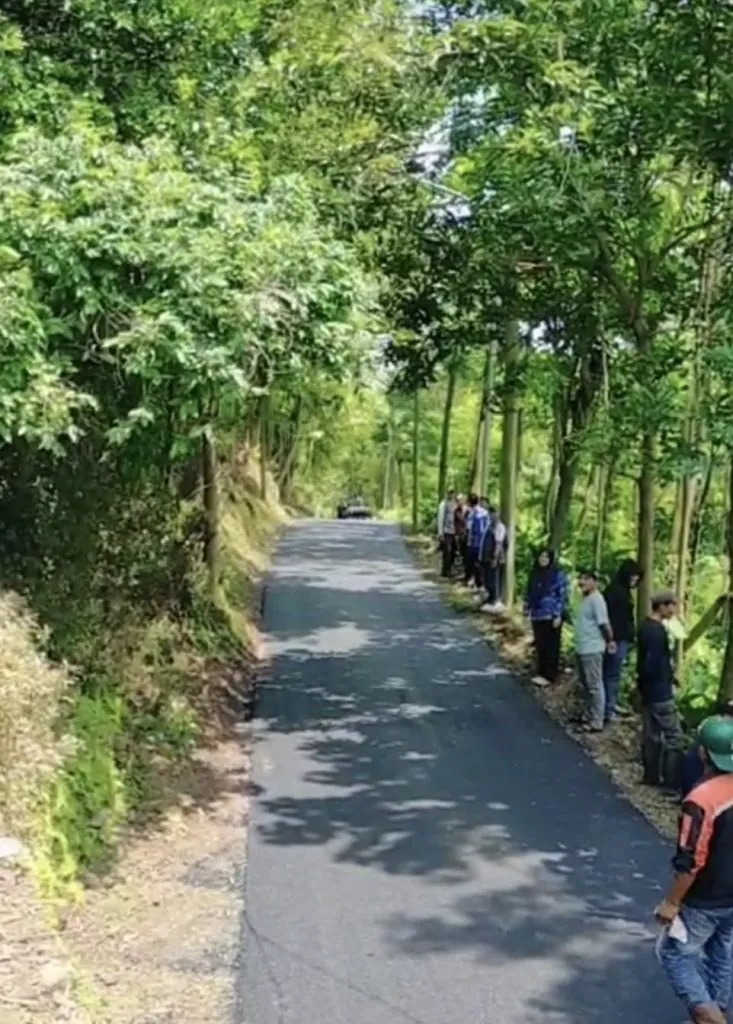 186c5ab4 0da3 4c4c 934b 0df6955625aa